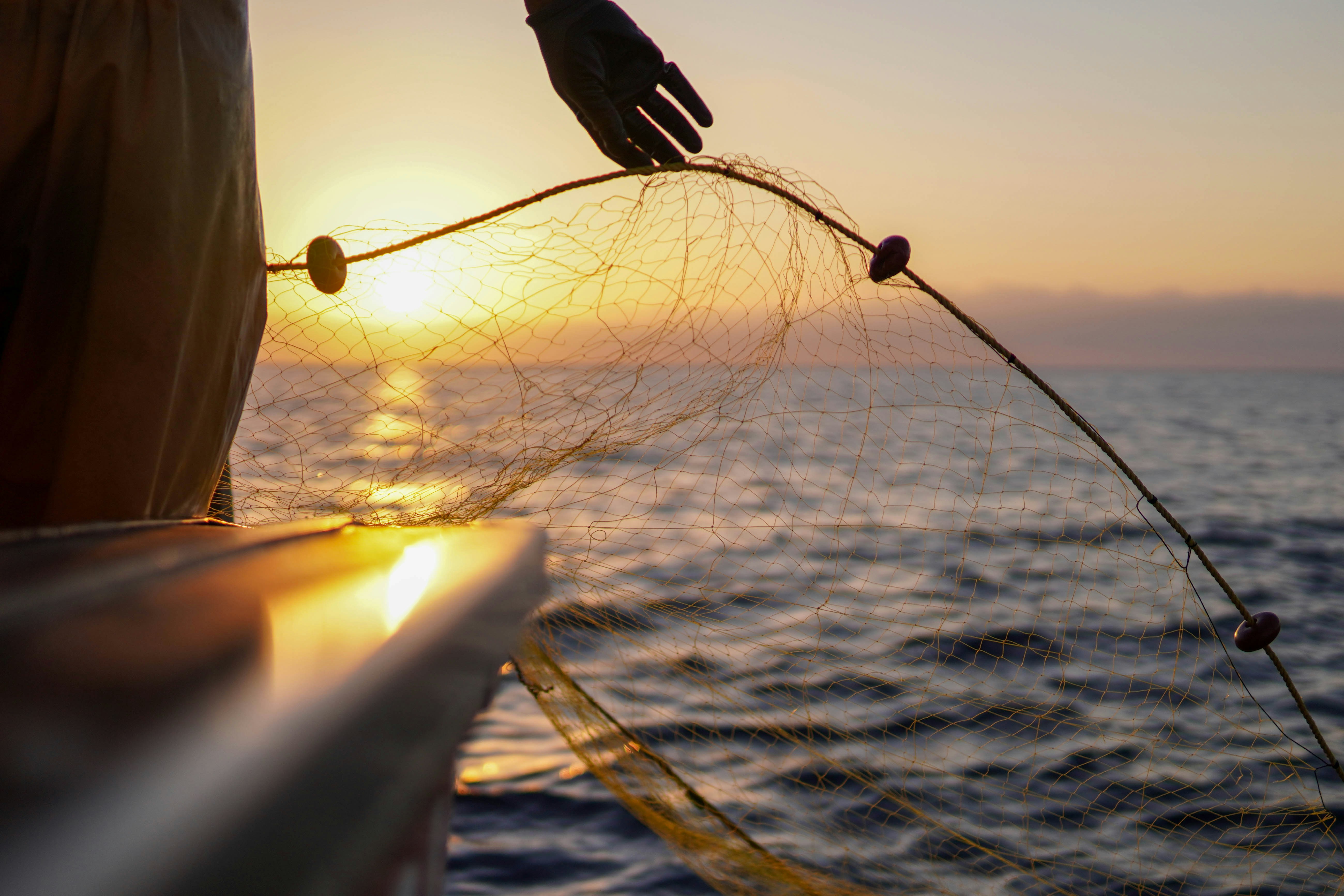 Deep Sea Fishing Trips in Mirissa