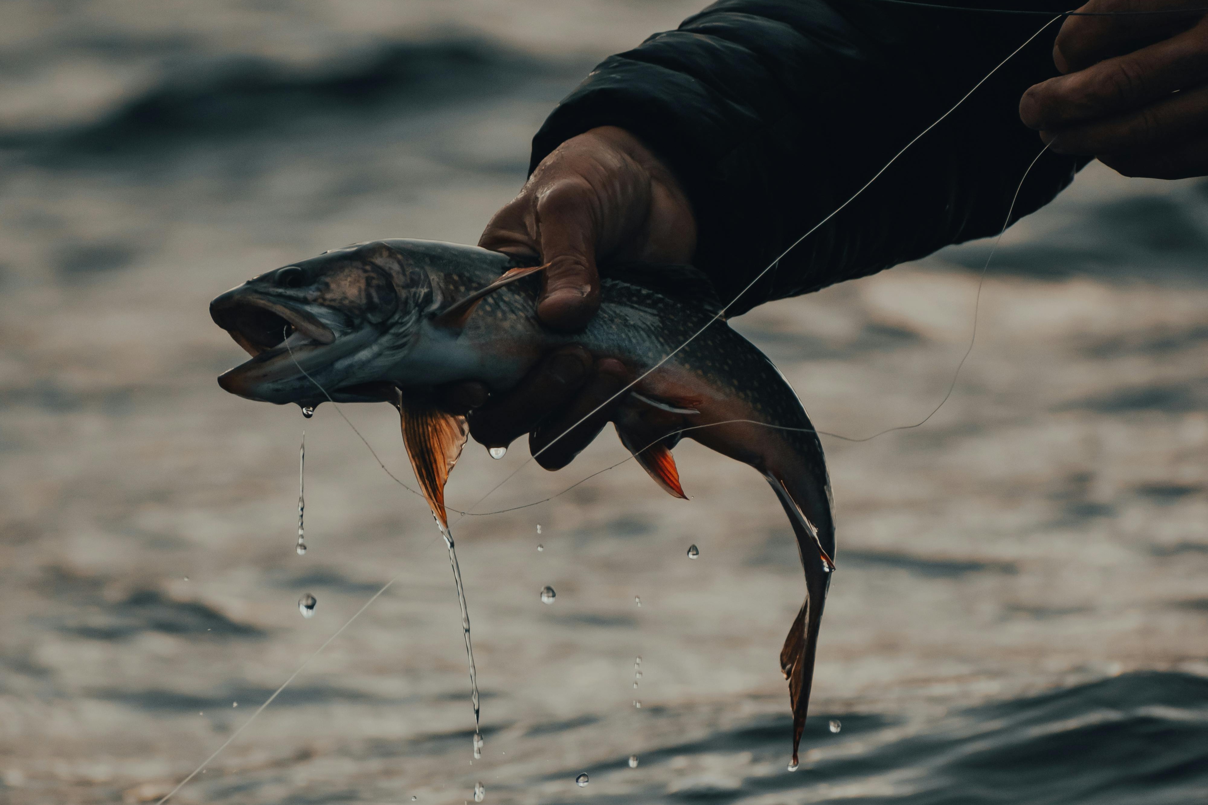 Deep Sea Fishing in Mirissa 