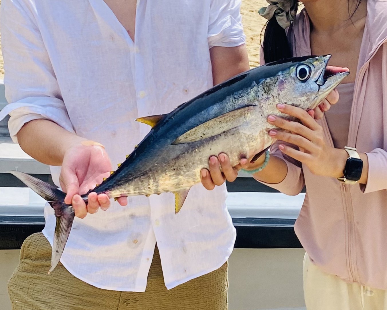 Deep Sea Fishing Mirissa-Little Tuna